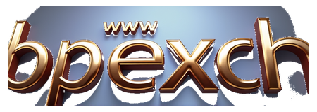 www.bpexch logo